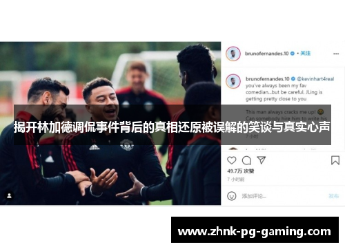 揭开林加德调侃事件背后的真相还原被误解的笑谈与真实心声