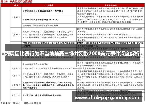 魏震因比赛行为不当被禁赛三场并罚款2000美元事件深度解析